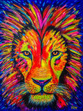 King Kromo
